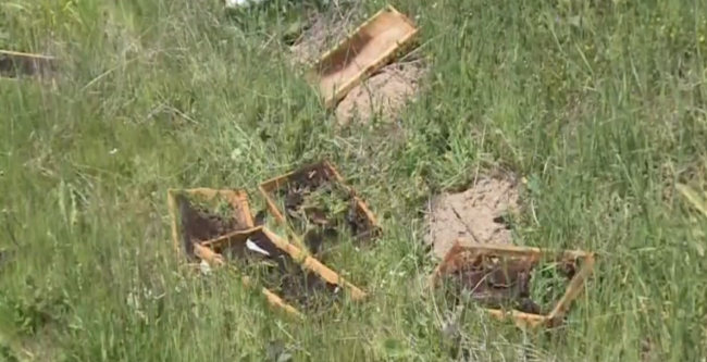 Fotoğraf: TRT Haber